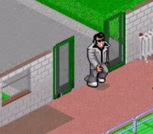 Theme Hospital King Complex